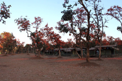 ajodhya_camp
