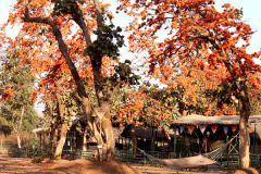ajodhya_camp1