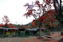 ajodhya_camp5