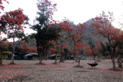 ayodhya_camp2