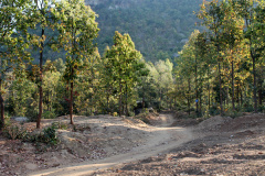 way_to_ayodhya_camp