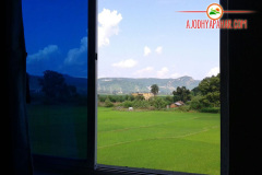 window_view