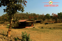 ajodhya-pahar-eco-cottages