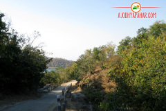 road_to_eco_resort